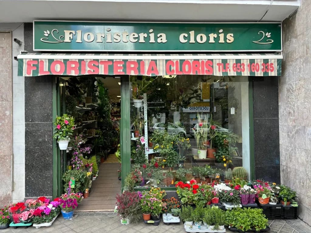 Cloris Florist storefront with plants and flowers at the entrance.